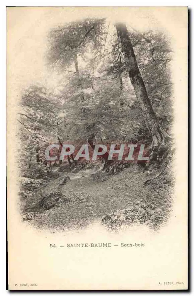 Sainte-Baume — Subfloresta — P. Ruat, edit. n°54 - Frente