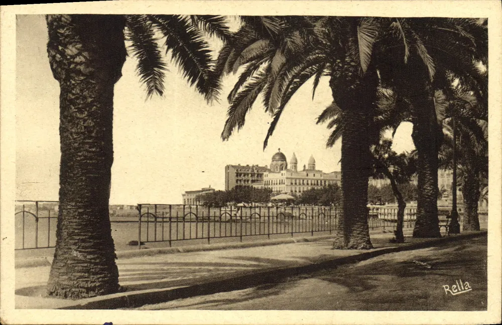Die Palmen des Boulevard Félix-Martin — Saint-Raphaël — Verlag Rella, n° 651 - Vorderseite