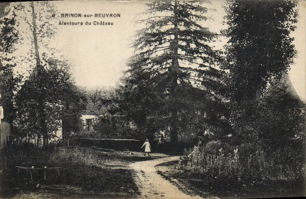 Brinon-sur-Beuvron — Vicinanze del Castello — editore sconosciuto - Recto