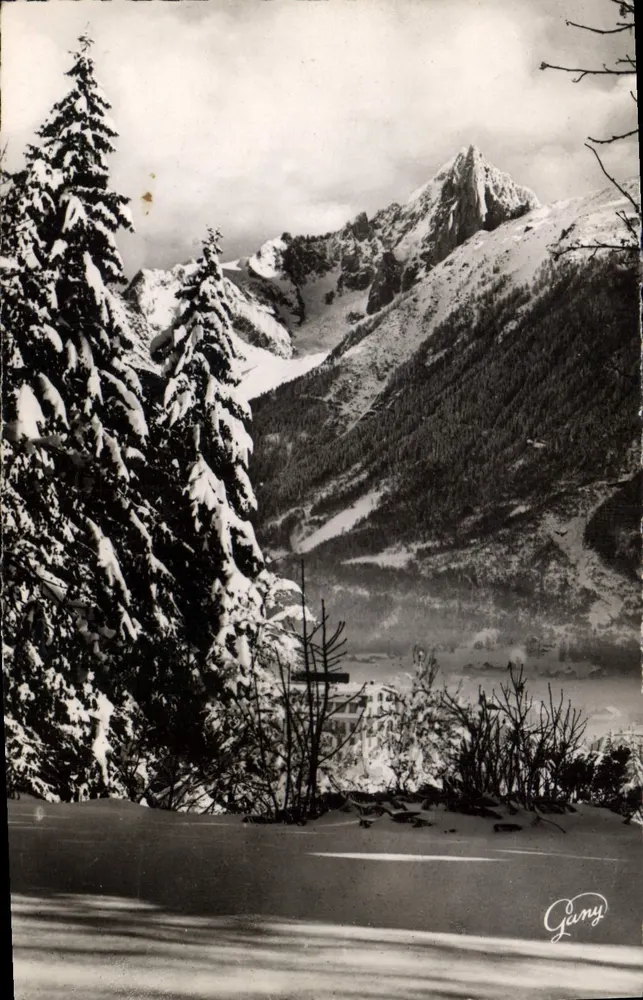 Chamonix Mont-Blanc — Die Aiguille du Drô (2773 m) — Gany - Vorderseite