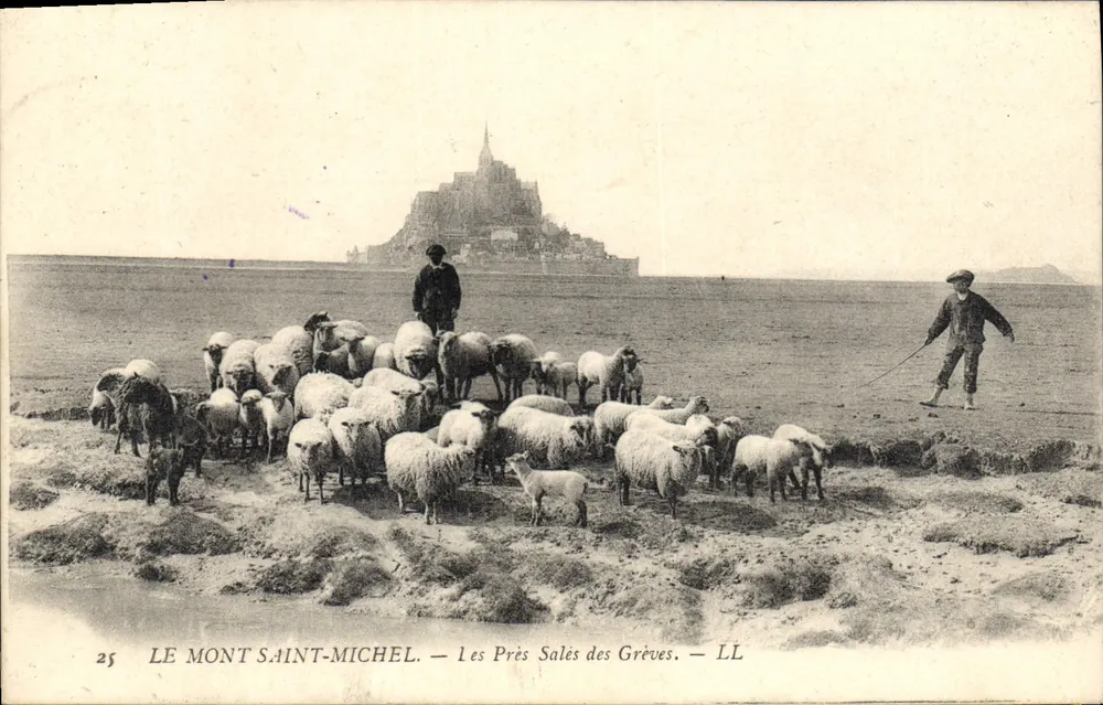 Mont Saint-Michel — Die Salzweiden der Grèves — LL - Vorderseite