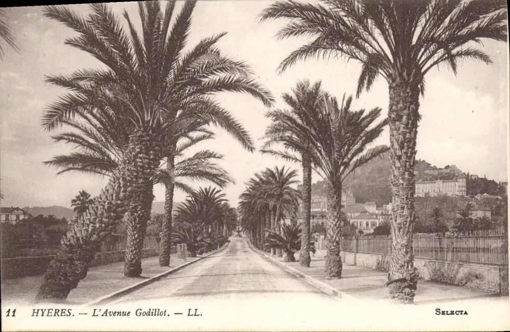 Hyères — Avenida Godillot — Selecta, n°11 - Frente