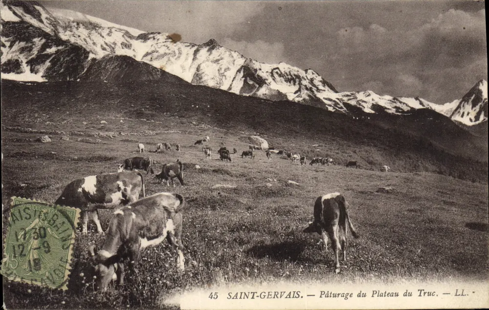 Saint-Gervais — Pâturage du Plateau du Truc — LL. — n°45 - Vorderseite