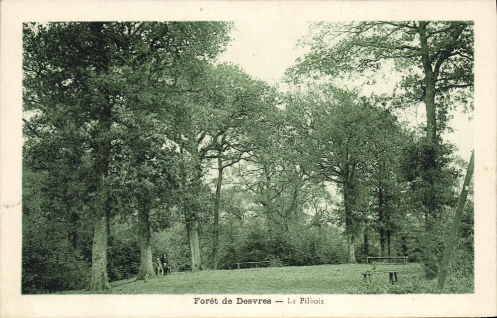Floresta de Desvres — O Pilbois — Editor não identificado - Frente