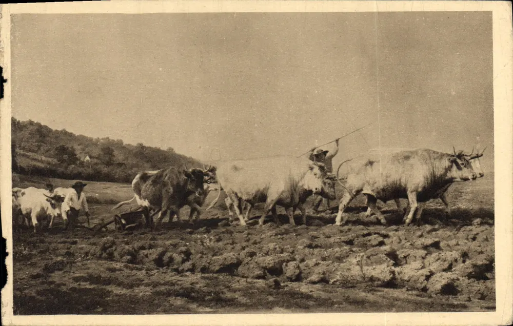Laboreio em Rosa-Bonheur — Nivernais — Edição de Arte YVON, n°35 - Frente