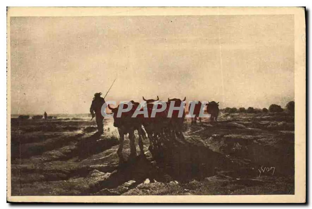 Troyon — Bovinos se dirigindo ao campo de plantio — Édition d'Art YVON - Frente