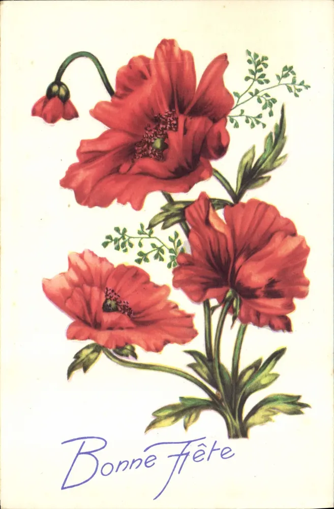 Flores de papoula — Boas Festas — Editor não identificado, número de série não visível - Frente