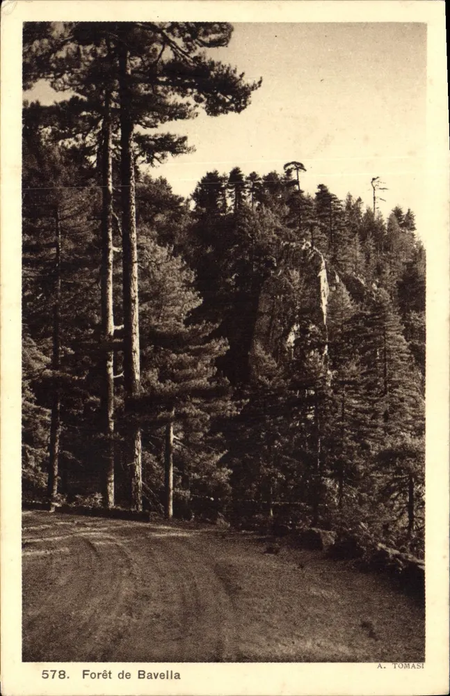 Floresta de Bavella — vista da floresta com trilha — A. Tomasi, n° 578 - Frente