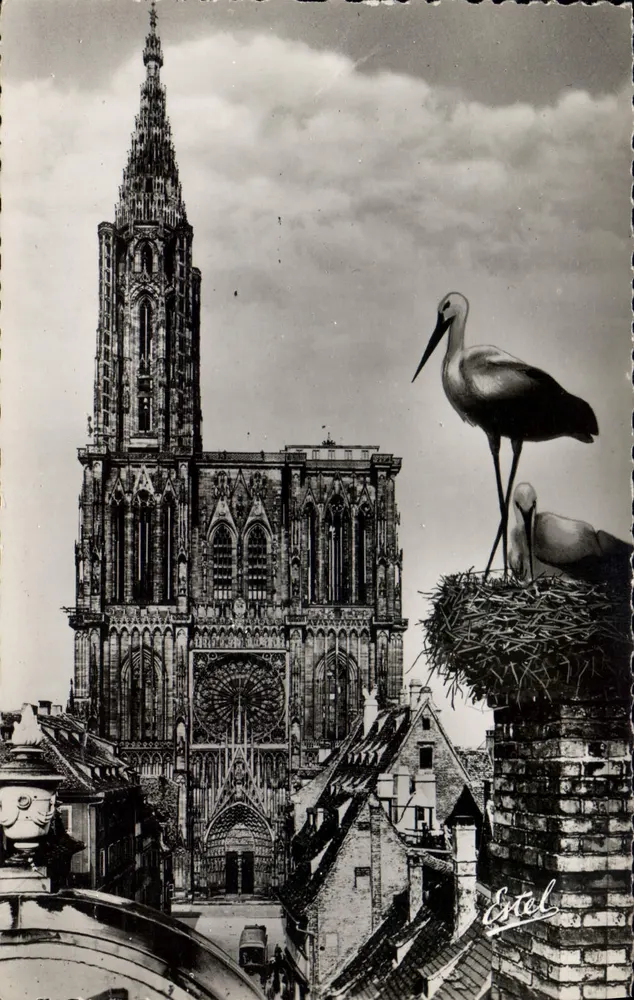 Estrasburgo — A Catedral — Editor Estel - Frente