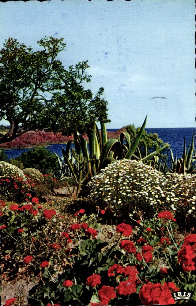 Garten mit roten und weißen Blumen — Aussicht aufs Meer — IRIS - Vorderseite