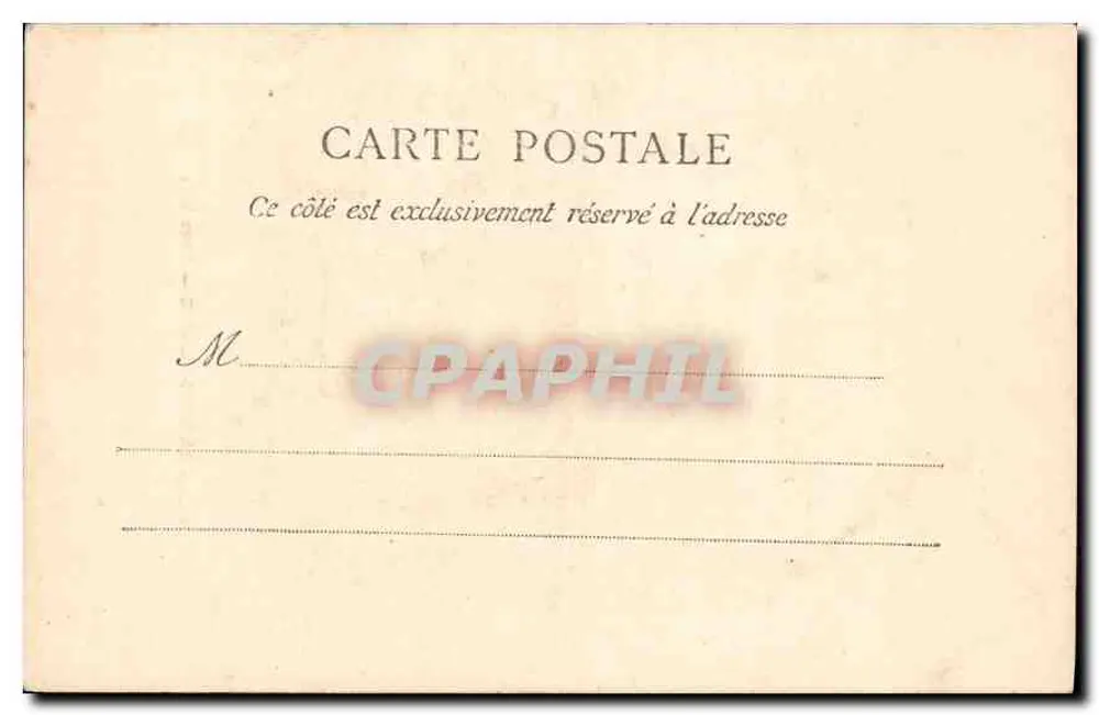 Sainte-Baume — Sous-bois — P. Ruat, edit. n°54 - Verso