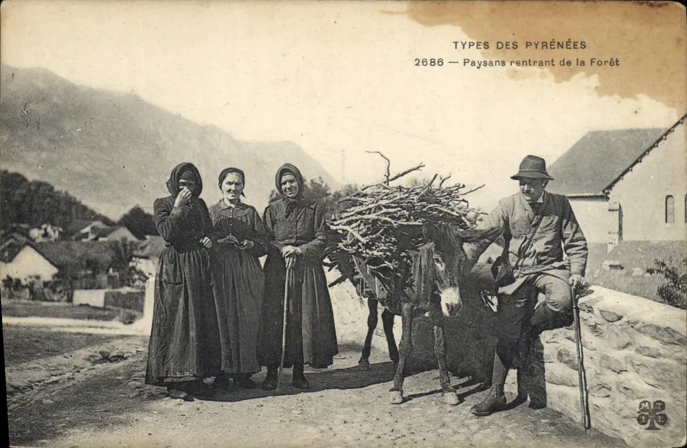 Camponeses retornando da Floresta — TYPES DES PYRÉNÉES 2686 — editor não identificado - Frente