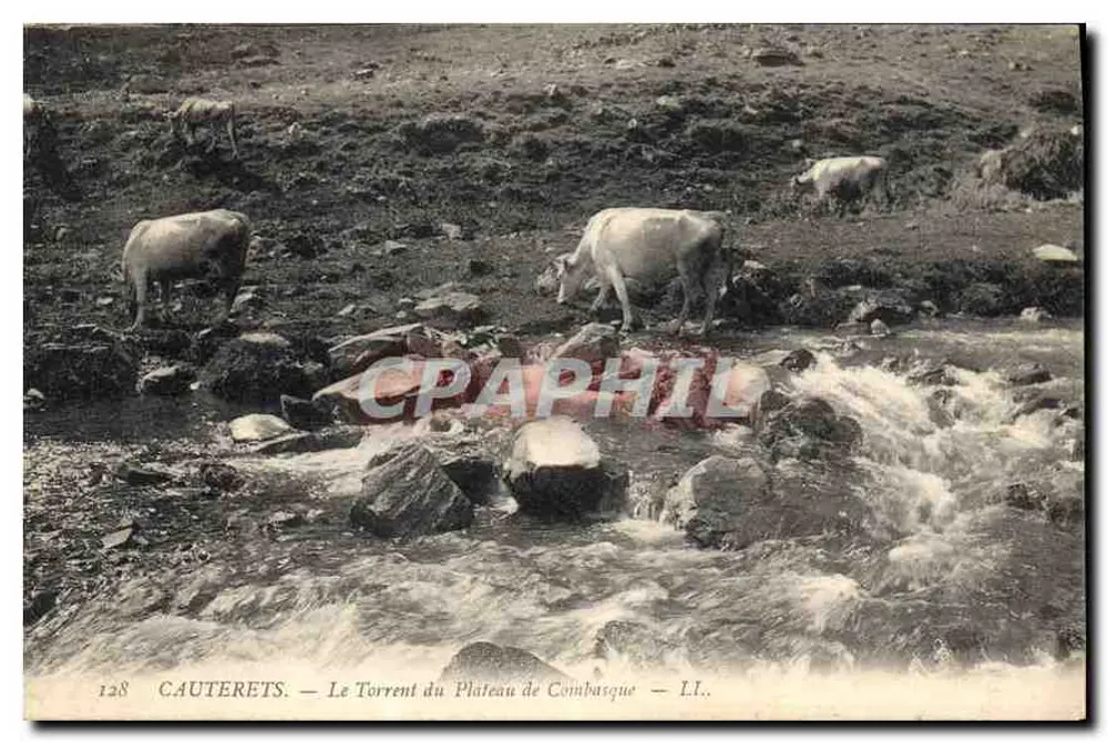 Cauterets — O Torrente do Plateau de Combasque — L.I. - Frente