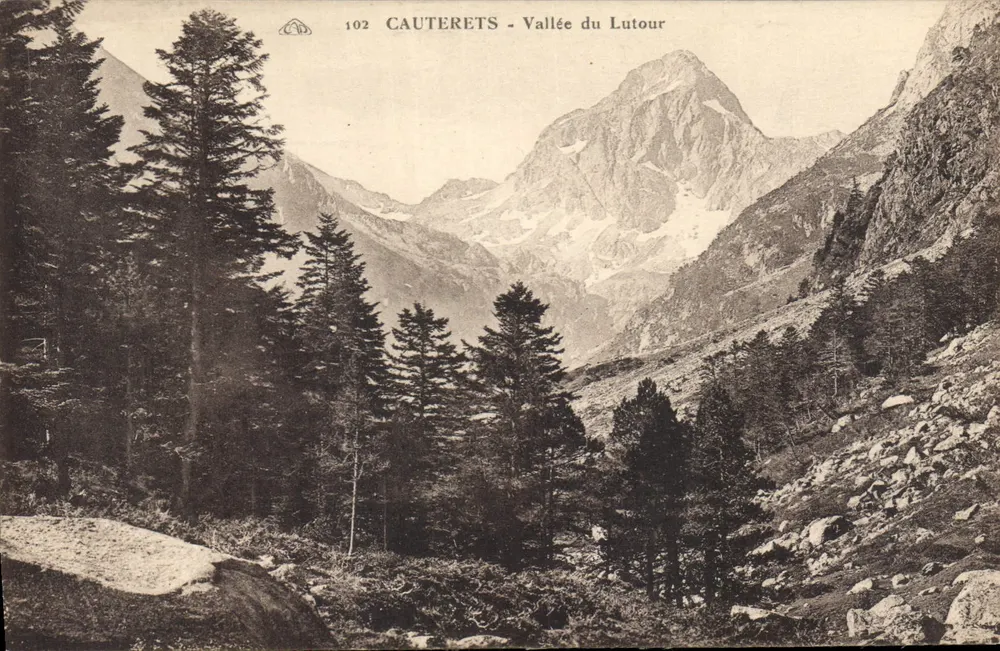 Cauterets - Vale do Lutour — vista de montanha com floresta de pinheiros — editor anônimo, n° 102 - Frente
