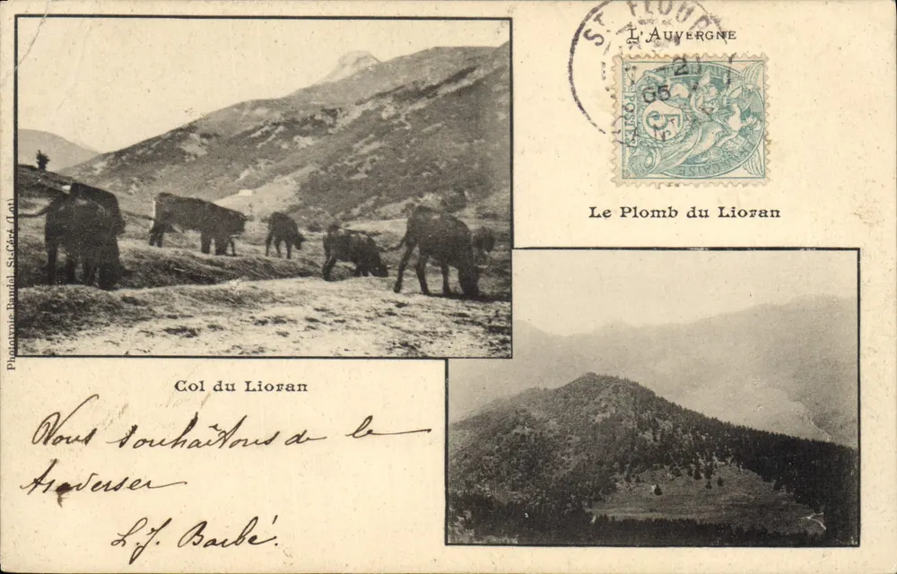 Col du Lioran — Ansicht von Kühen und bergigem Landschaftsbild — Phototypie Baublé, St-Céza (Lot) - Vorderseite