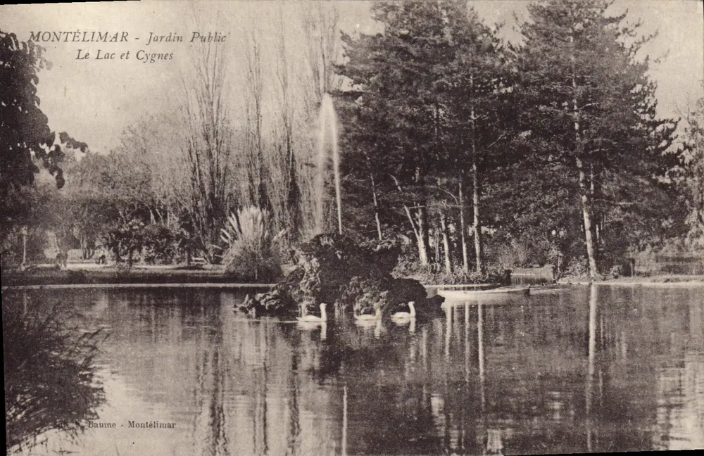 Montélimar - Öffentlicher Garten — See und Schwäne — Baume - Vorderseite