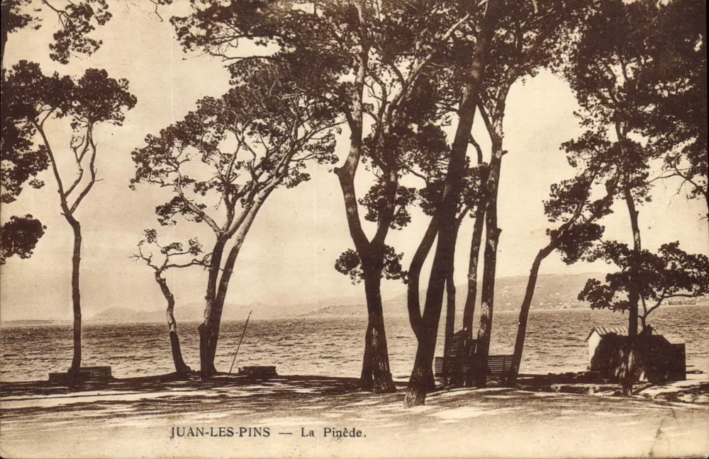 Juan-les-Pins — A Pineta — Edição L. Raphil - Frente
