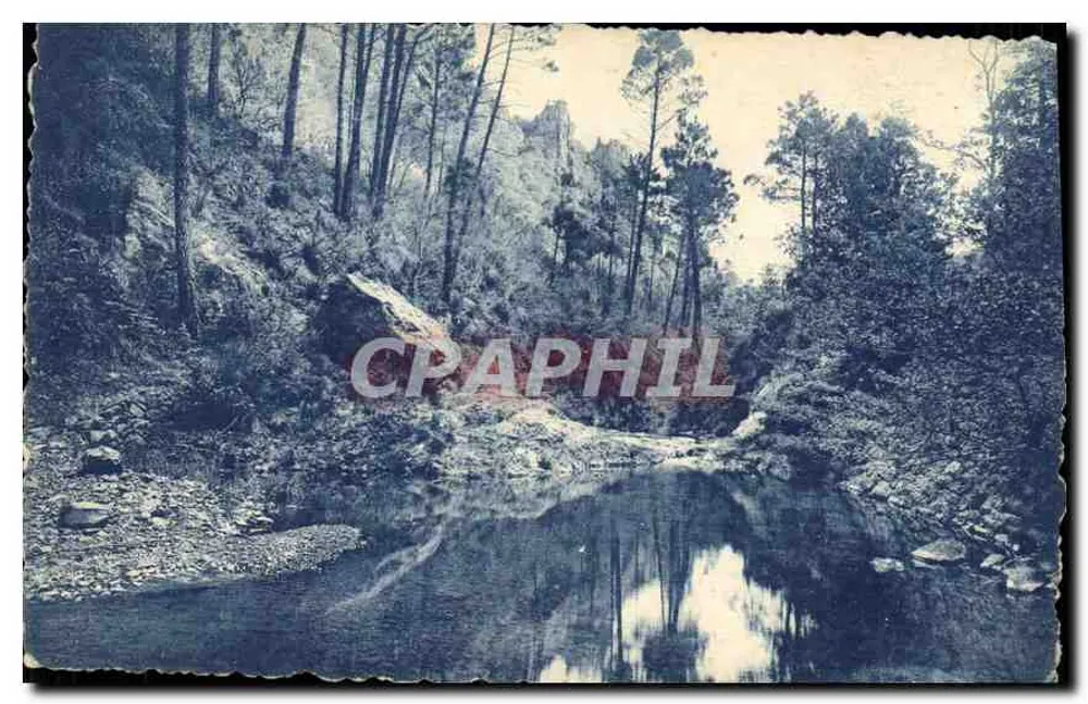 Paisagem de floresta e riacho — editor P. N. S. — n° 220 - Frente
