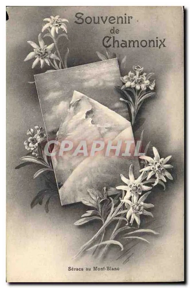 Séracs au Mont-Blanc — vue encadrée par des edelweiss — éditeur Timothée Jacot, Neuchâtel - Frente