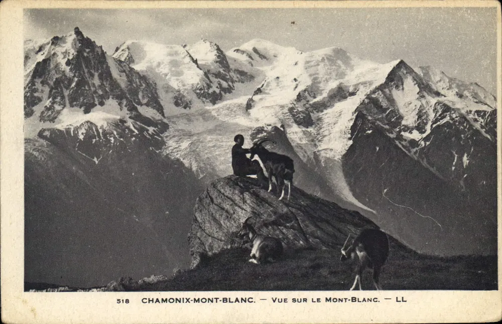Chamonix-Mont-Blanc — Ansicht des Mont-Blanc — LL, n° 518 - Vorderseite