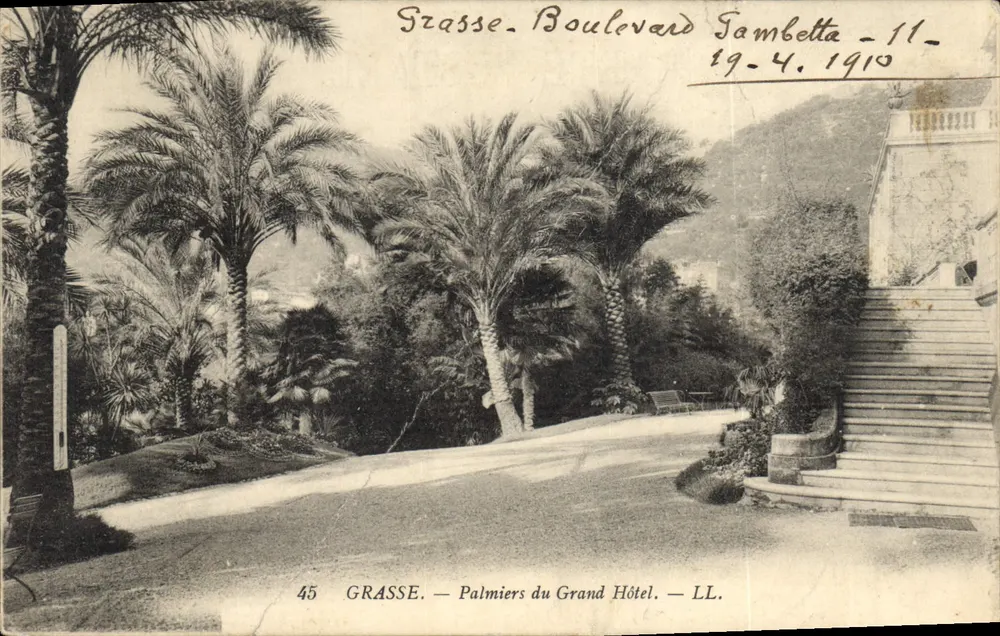 Grasse. Palmeiras do Grand Hôtel — Boulevard Gambetta — LL. n°45 - Frente
