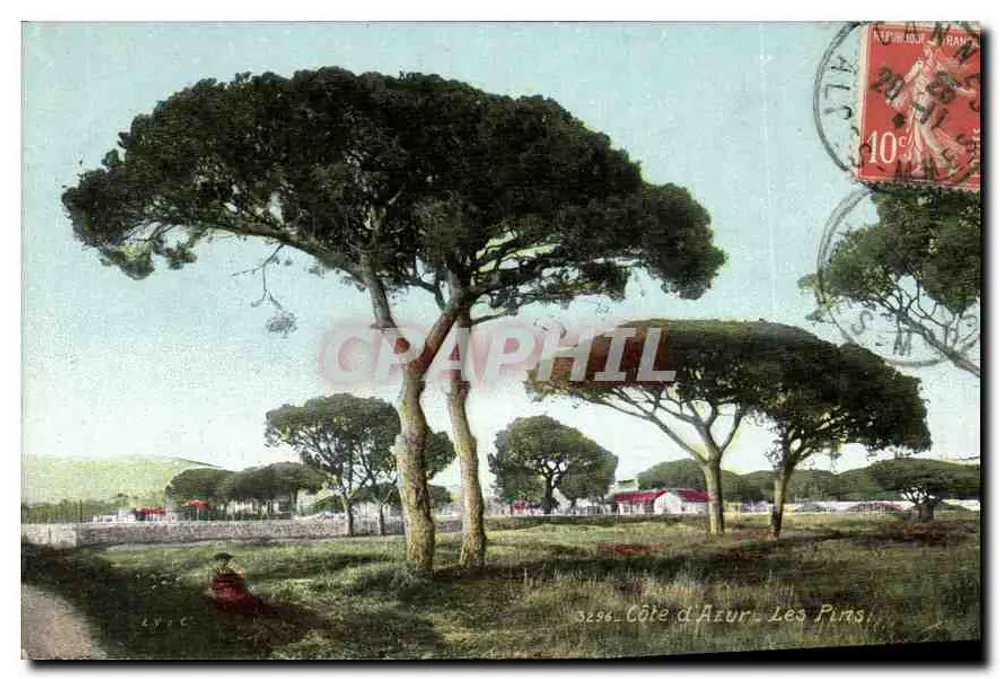 Côte d'Azur - Les Pins — editor LYCIC, n° 3256 - Frente