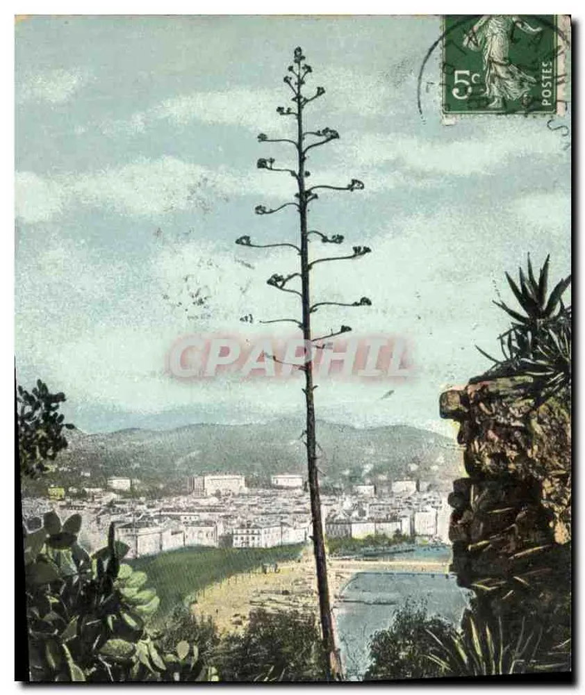 Ausblick auf Toulon — blühende Agave — Verlag L.V. & Cie - Vorderseite