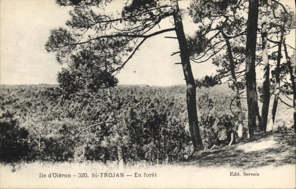 Ilha de Oléron - St-Trojan — Na floresta — Edit. Servois - Frente
