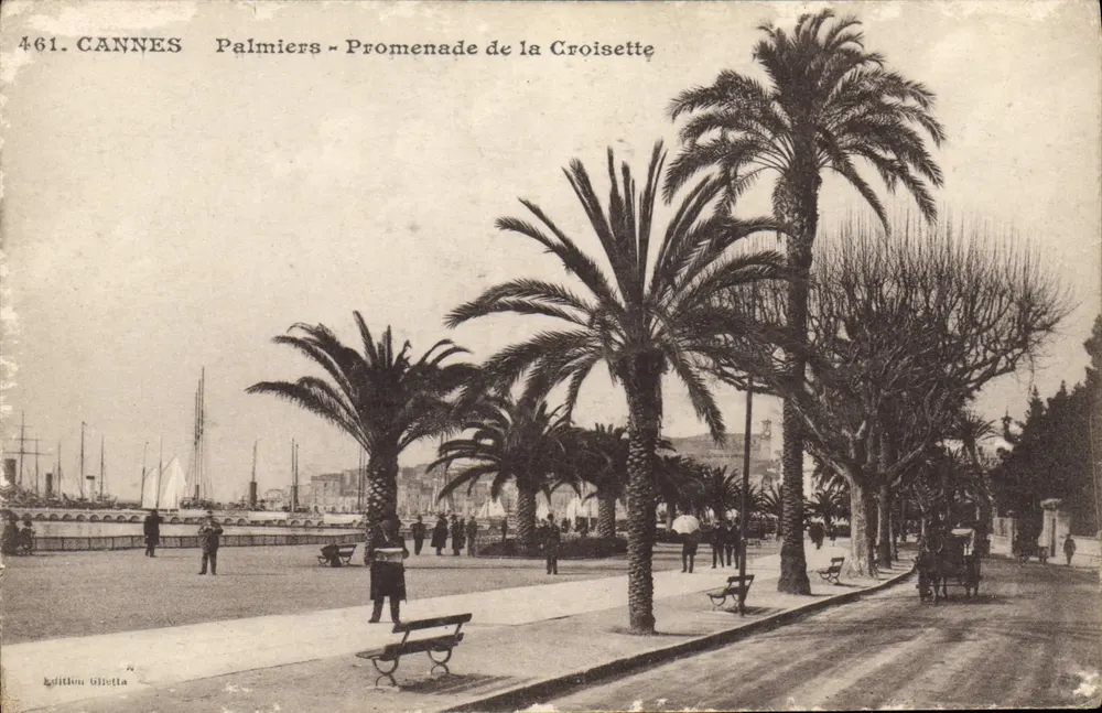 CANNES - Palmen - Promenade de la Croisette — Glietta Edition, Nr. 461 - Vorderseite