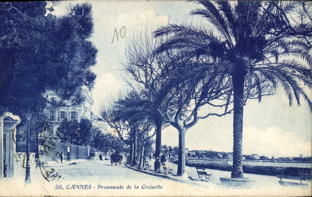 CANNES - Promenade de la Croisette — editore N. et Kozals, n° 50 - Recto