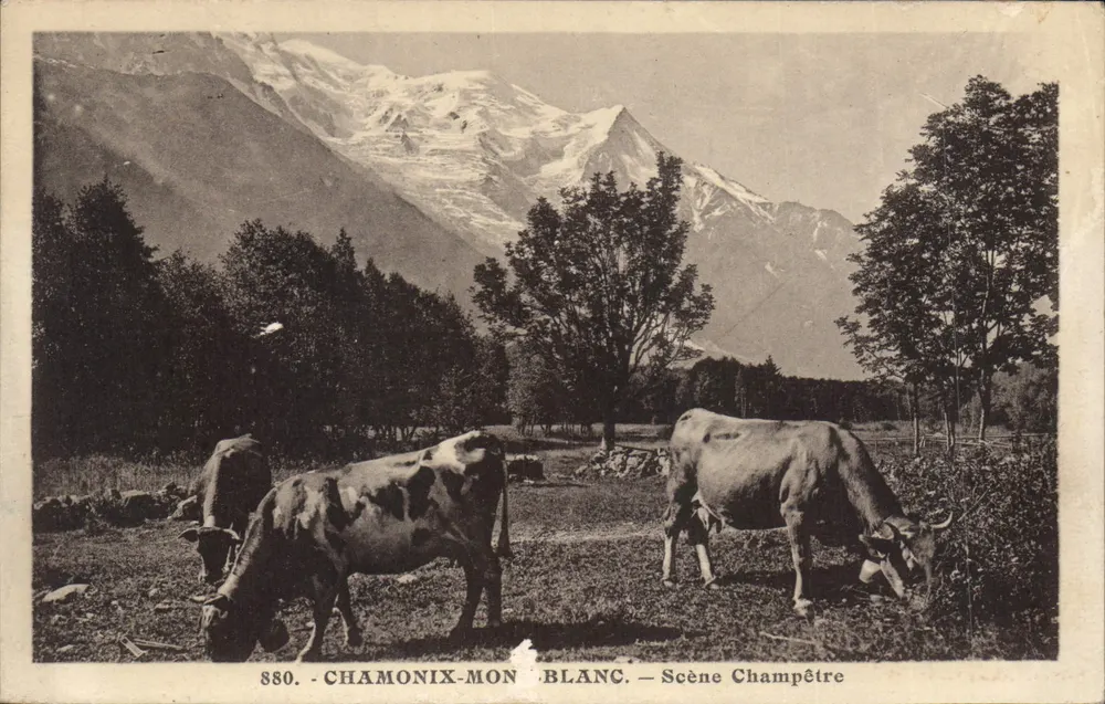 Chamonix-Mont-Blanc — Landelijke scène — L. Morand, fot. ed. Morand, Haute-Savoie - Voorkant