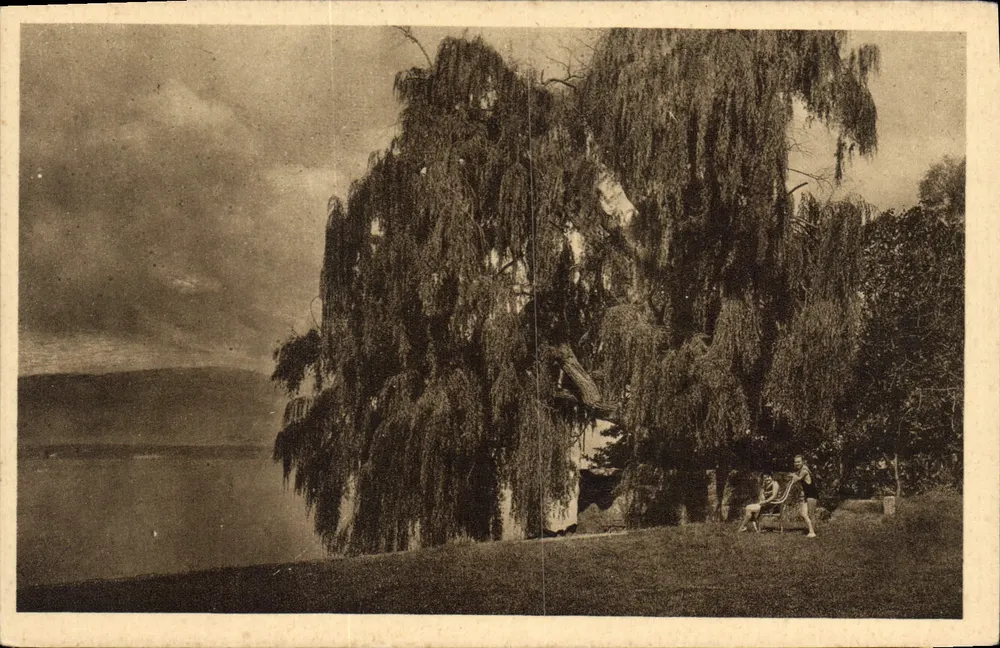 Ufer des Sees Léman — Messery (Haute-Savoie) — Kunstausgabe, Nancy - Vorderseite