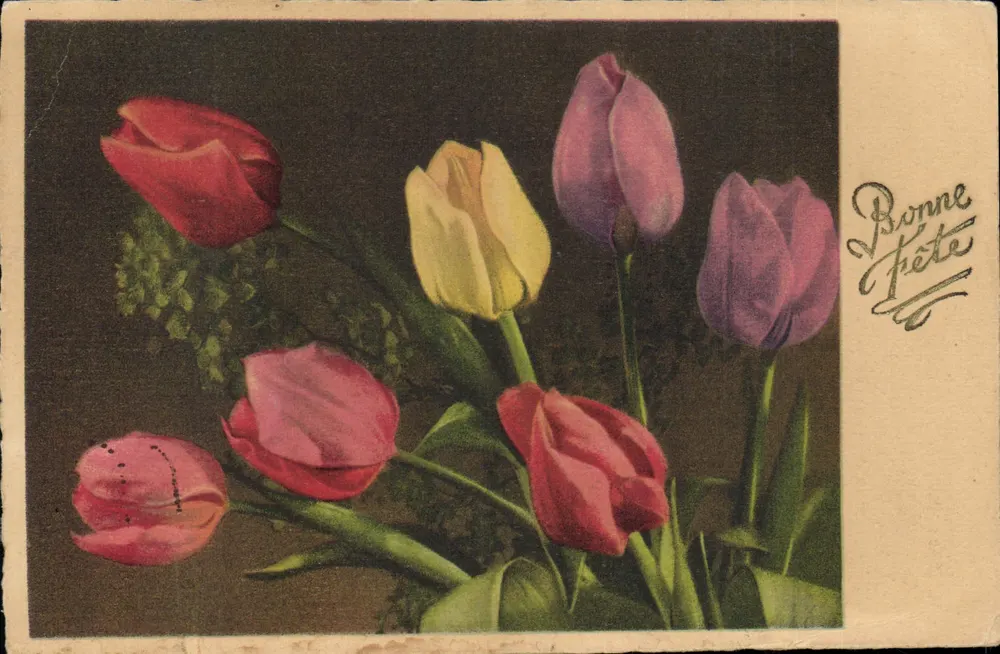Bundel gekleurde tulpen — Gelukkige verjaardag — Antieke ansichtkaart nr. 4153 - Voorkant