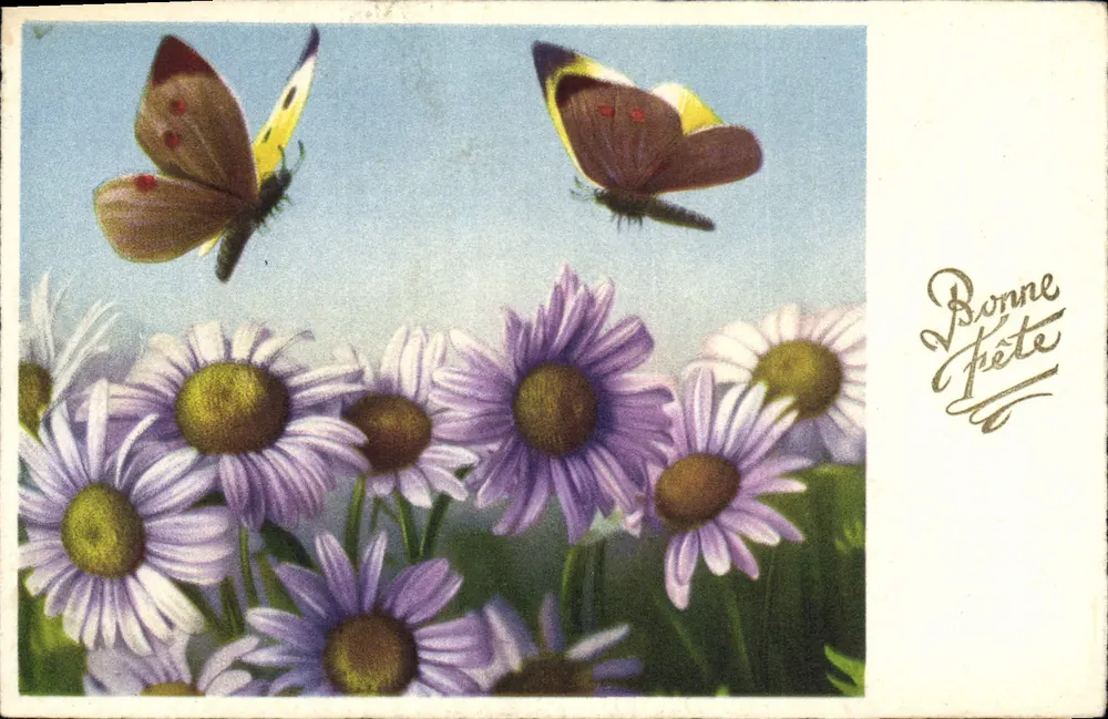 Dois borboletas acima de flores — Foto-Cromia n°4143 — editor Foto-Cromia - Frente