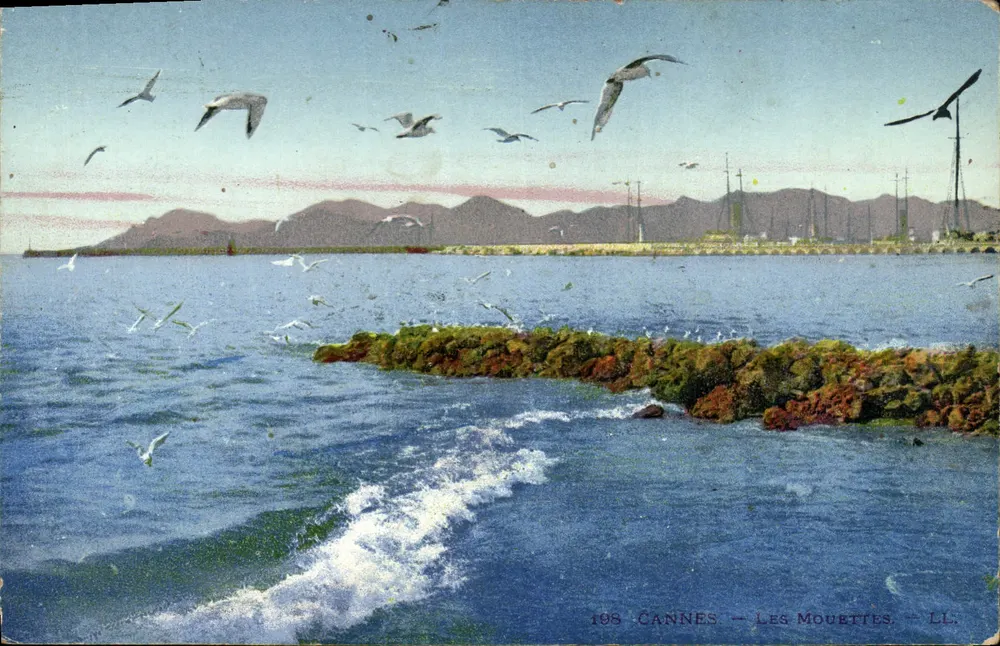Cannes — As Garças — LL. — n° 198 - Frente
