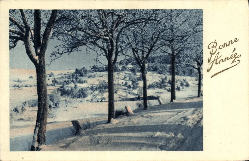 Paisagem invernal — neve sobre árvores e colinas — Boa Ano - Frente