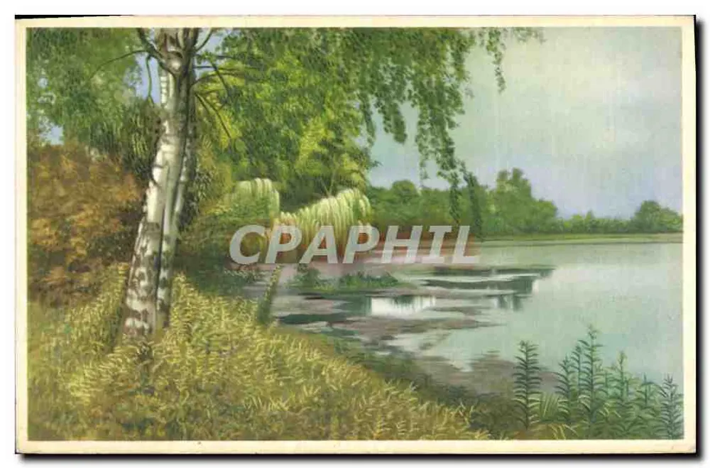 Paisagem lacustre com bétula — edição Photocolor — impressa na Bélgica - Frente
