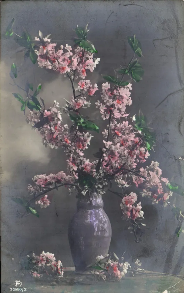 Bouquet de fleurs — dans un vase violet — éditeur R. 3360/2 - Frente