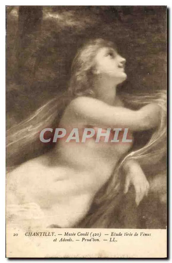 Venus und Adonis — Studie aus Venus und Adonis — Musée Condé — Chantilly - Vorderseite
