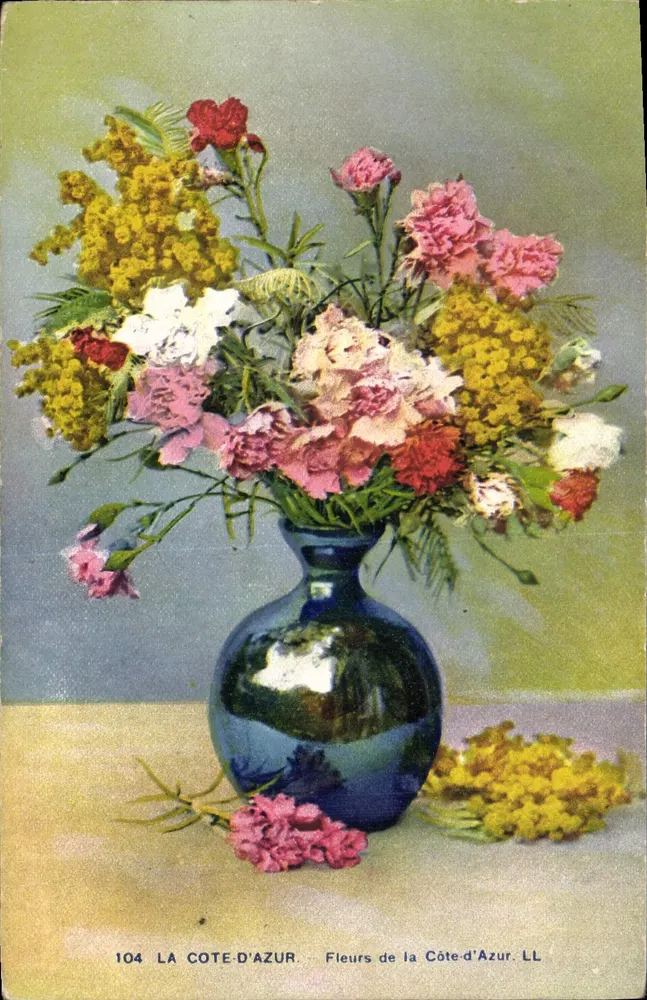 Fiori della Costa Azzurra — LL, n°104 - Recto