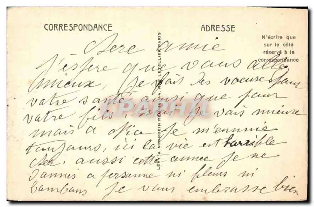 Fiori della Costa Azzurra — LL, n°104 - Verso