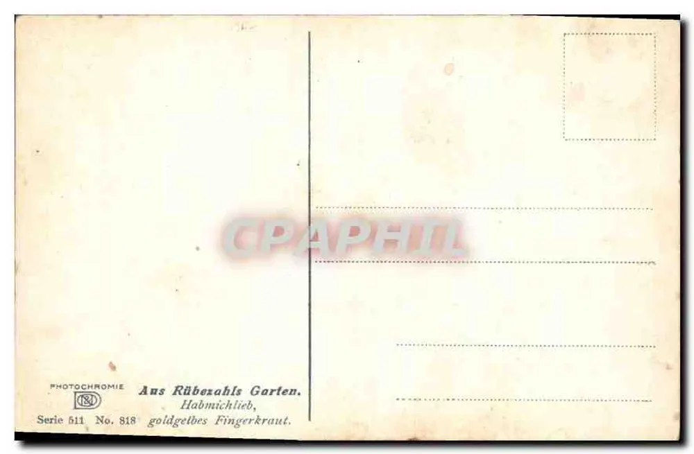 Jardim de Rübezahls — Flores amarelas e rosas entre rochedos — Photochrome, série 511, n° 818 - Verso