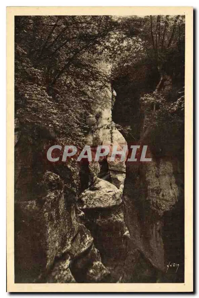 Gorges du Fier (Haute-Savoie) — Les beaux Hêtres — Éditions d'Art Martel - Vorderseite