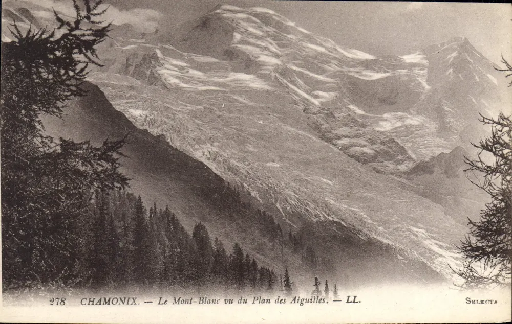 Chamonix — Il Monte Bianco visto dal Plan des Aiguilles — LL. — Sélecta — n° 278 - Recto