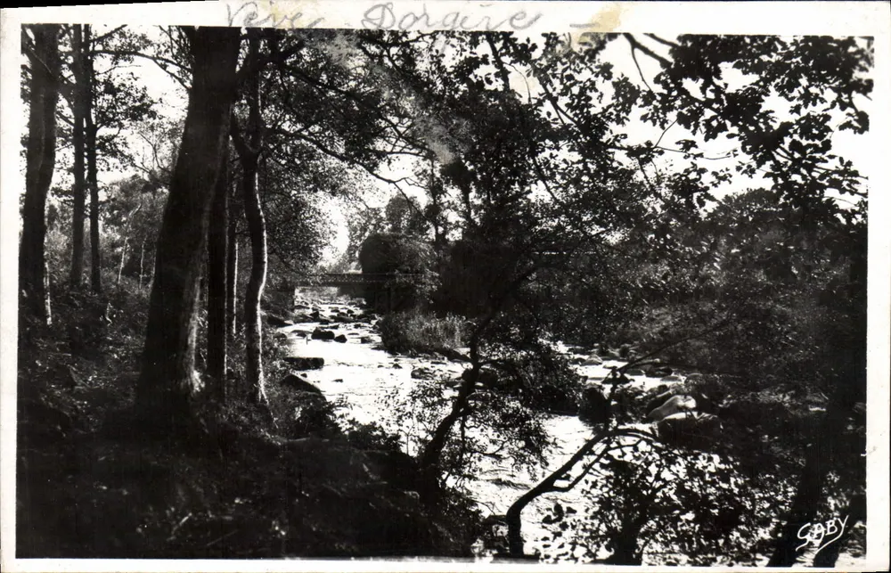 Rivière Dorguère — vista na floresta — Gaby Fotógrafo - Frente
