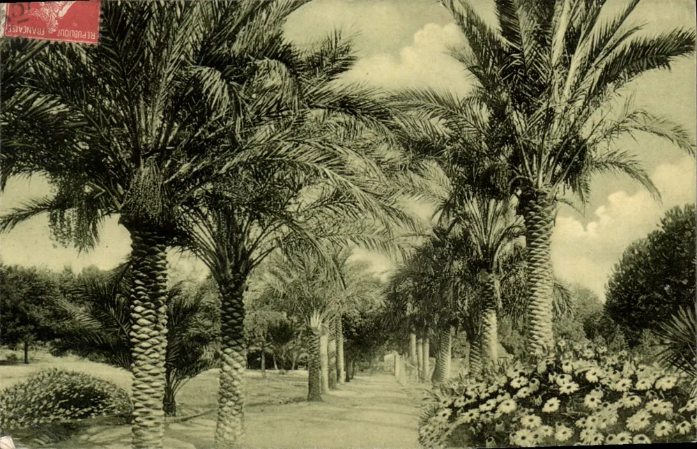 Schlosspromenade – Palmenallee — Edition Gillet, Nizza - Vorderseite