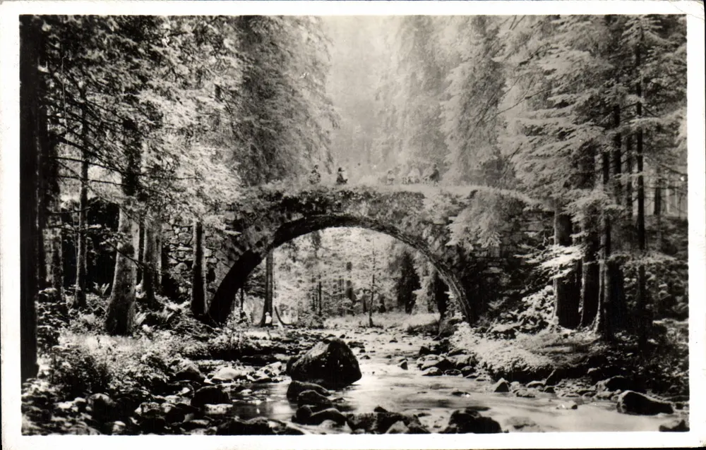 Gerardmer - O Ponte das Fadas — Édition La Côte — n° 2126 B - Frente