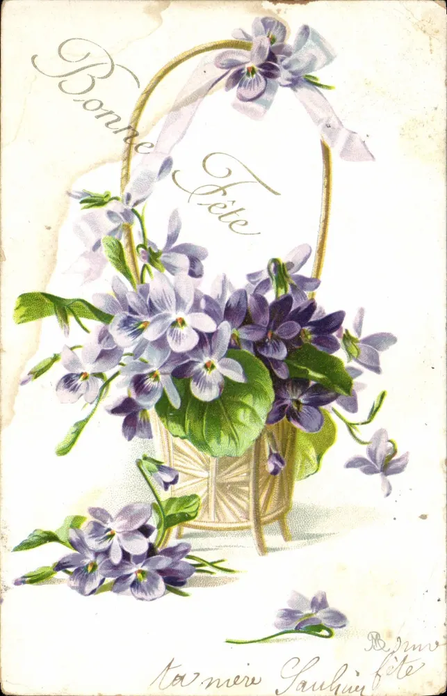 Violets dans un panier — Bonne Fête — editor não identificado - Frente