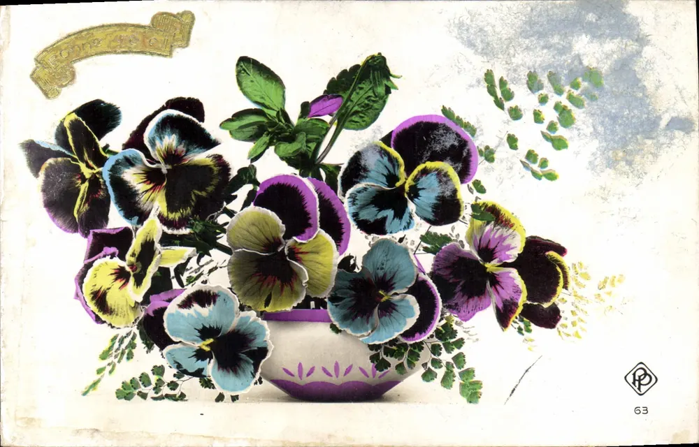Pansies coloridas em um vaso — editor HP, n° 63 - Frente