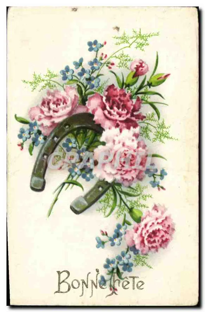 Arranjo de flores e estribos — Boa Ano — Ed. André Leconte, Paris - Frente
